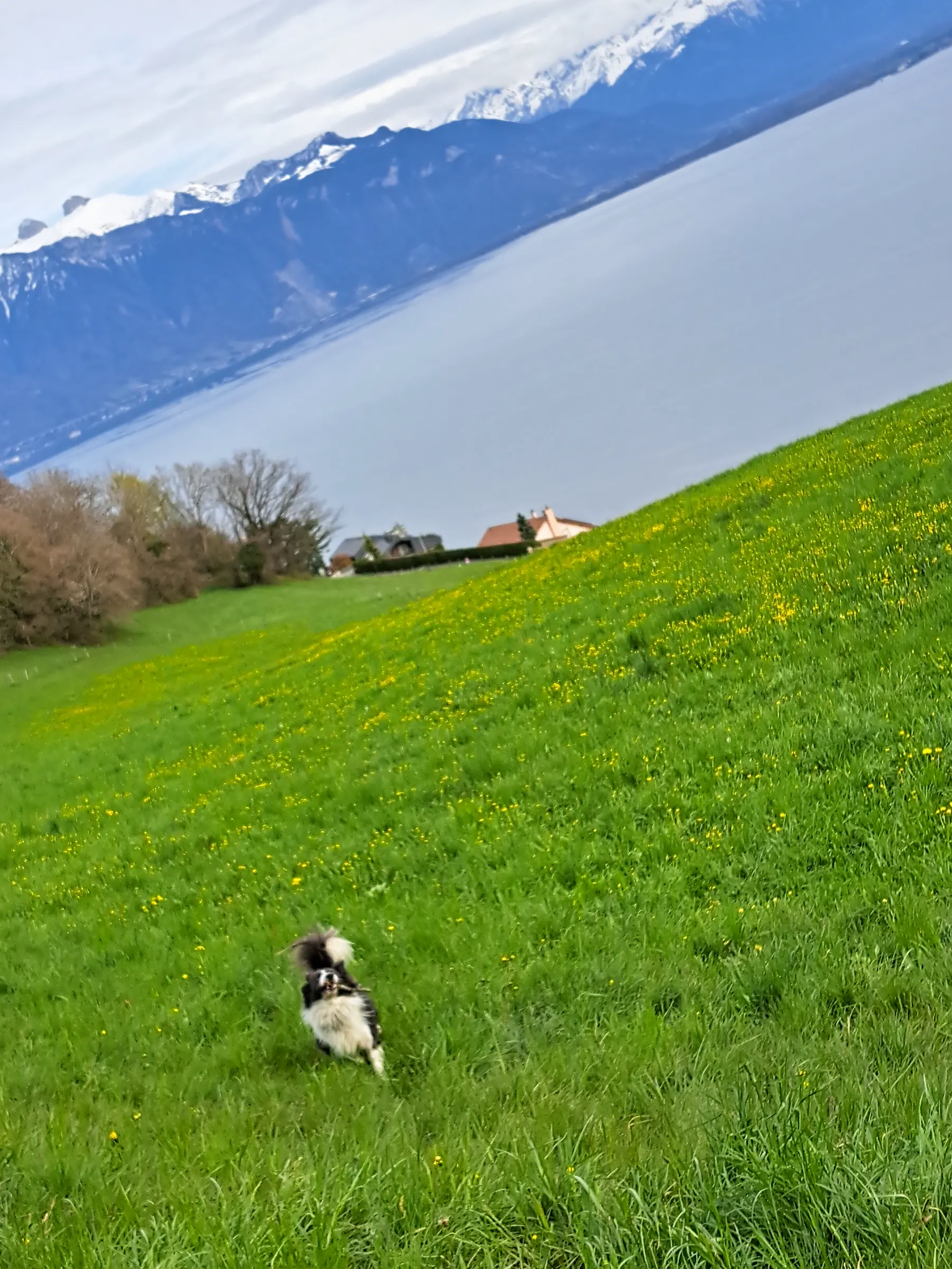 Balade - Guss balade