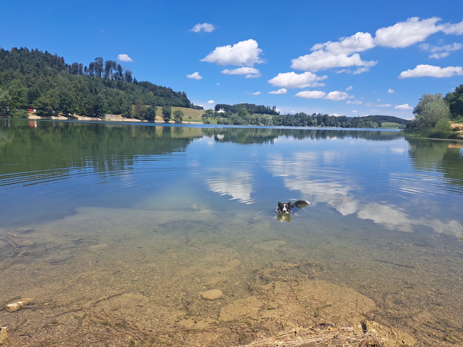 Balade - Guss lac