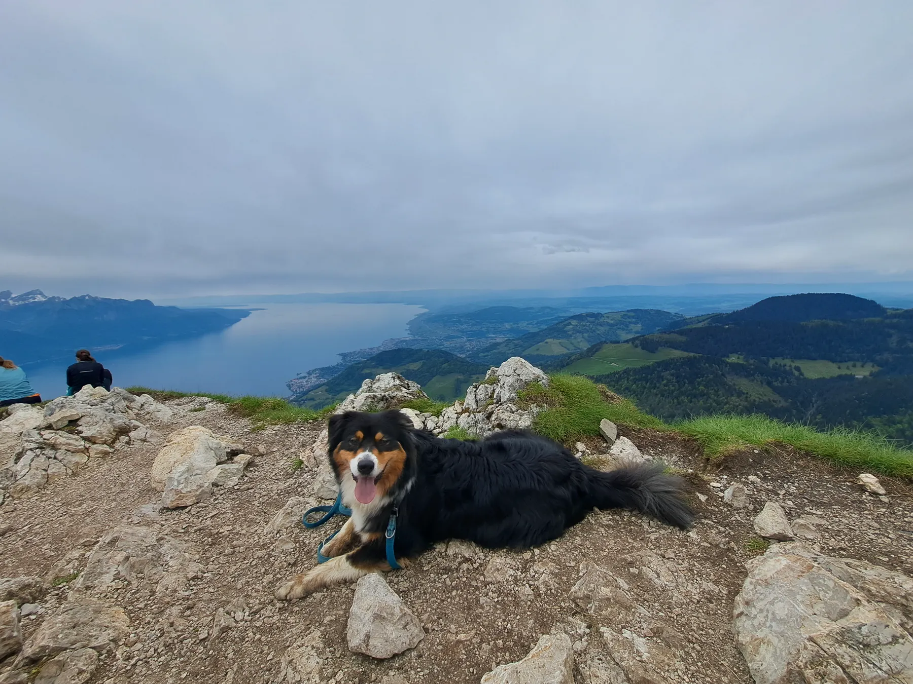 Balade - Olita montagne 18