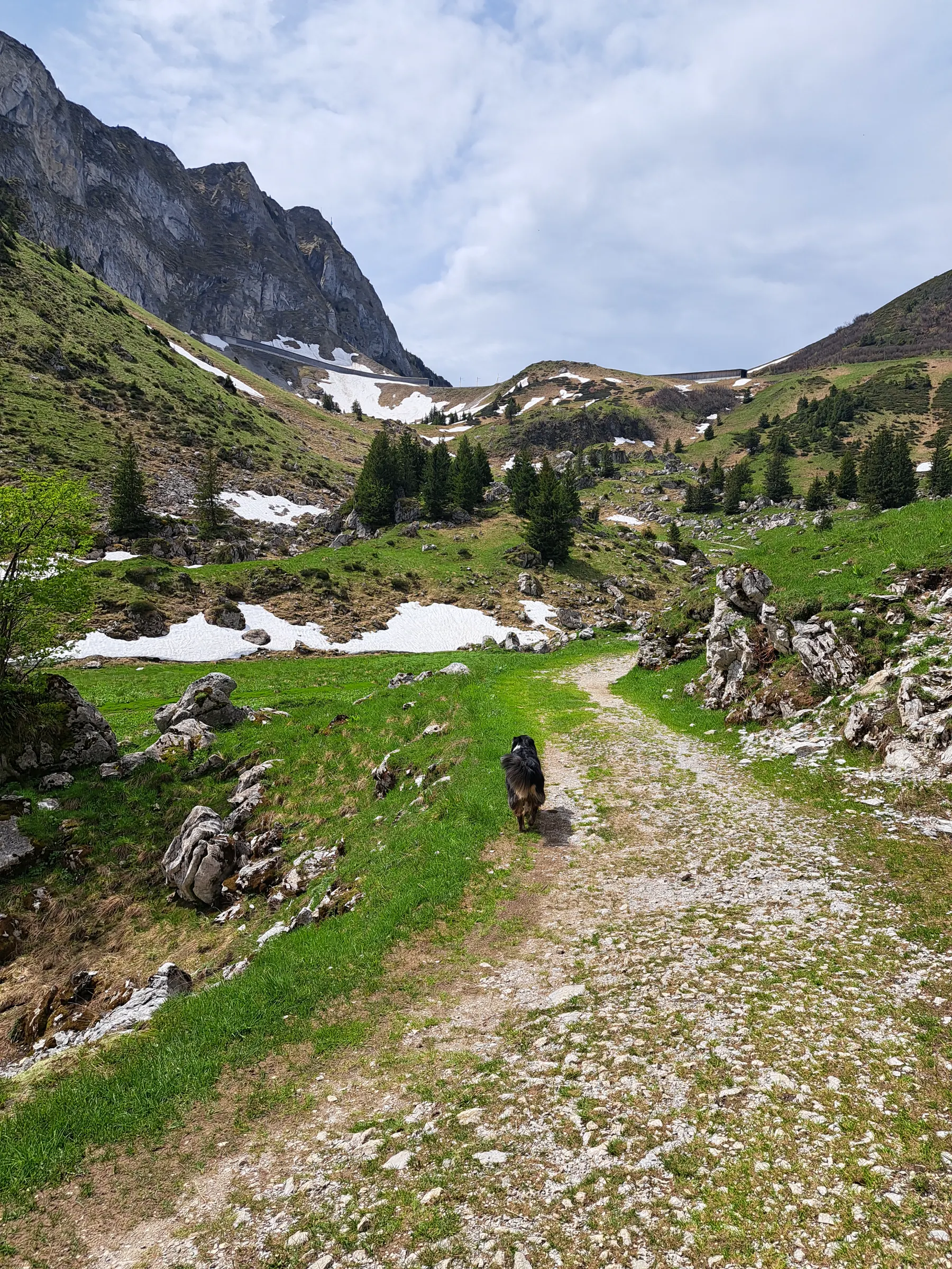 Balade - Olita montagne 22