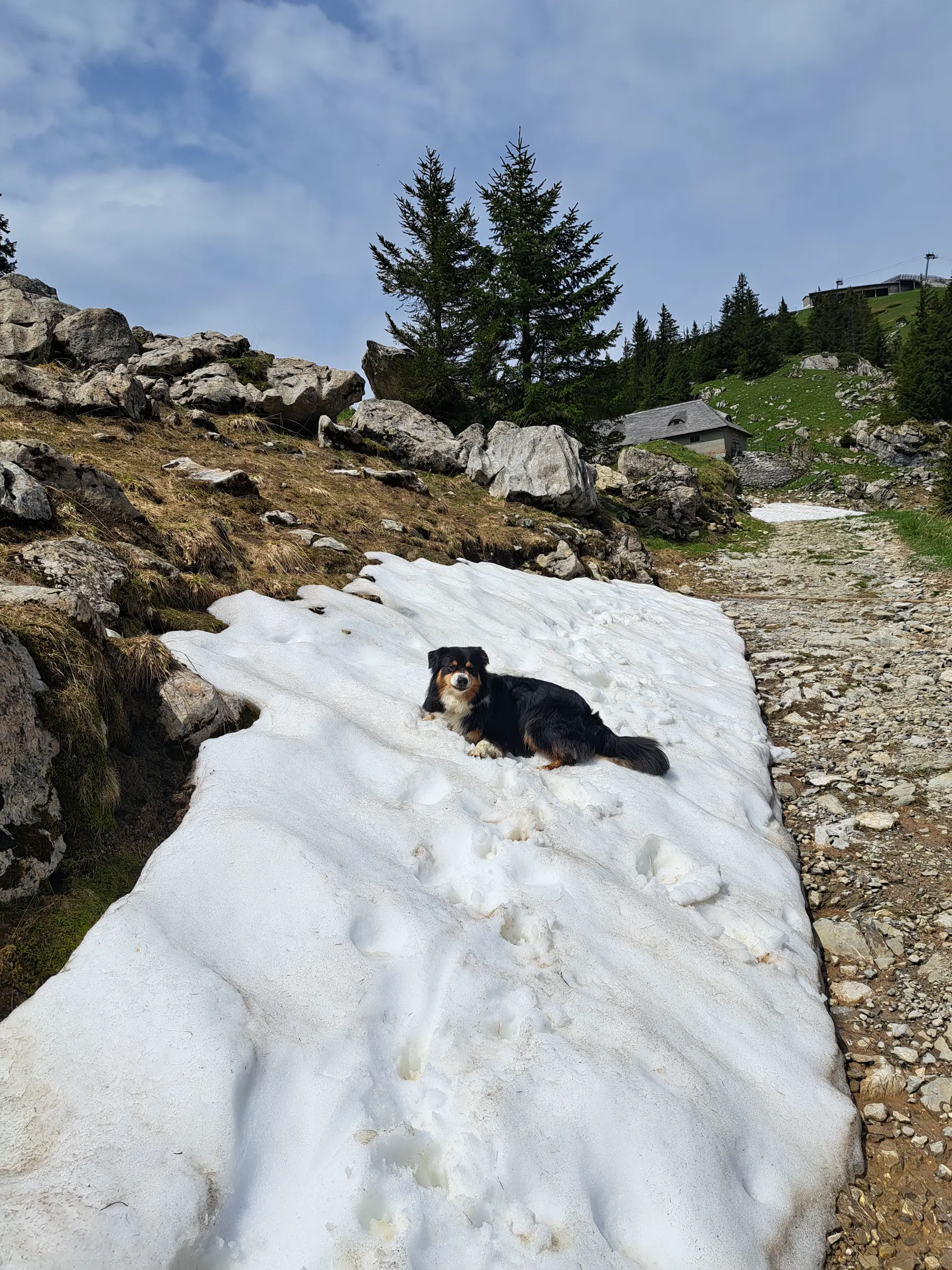 Balade - Olita montagne 23