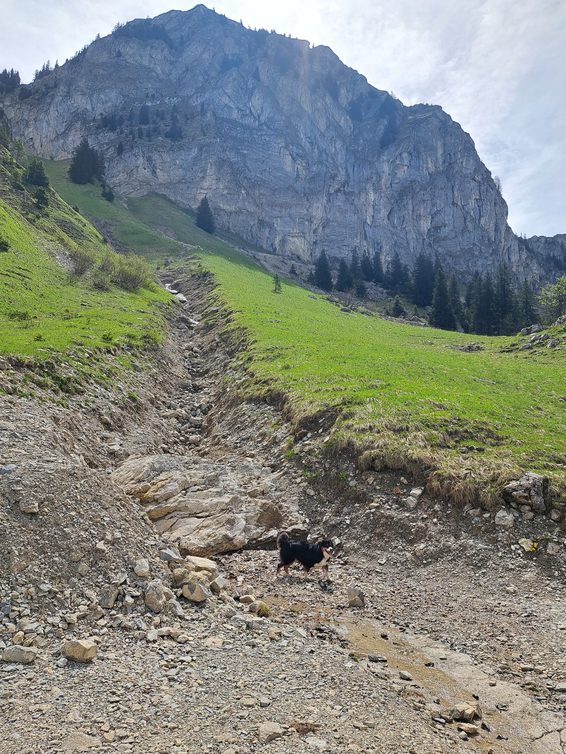 Balade - Olita montagne 24