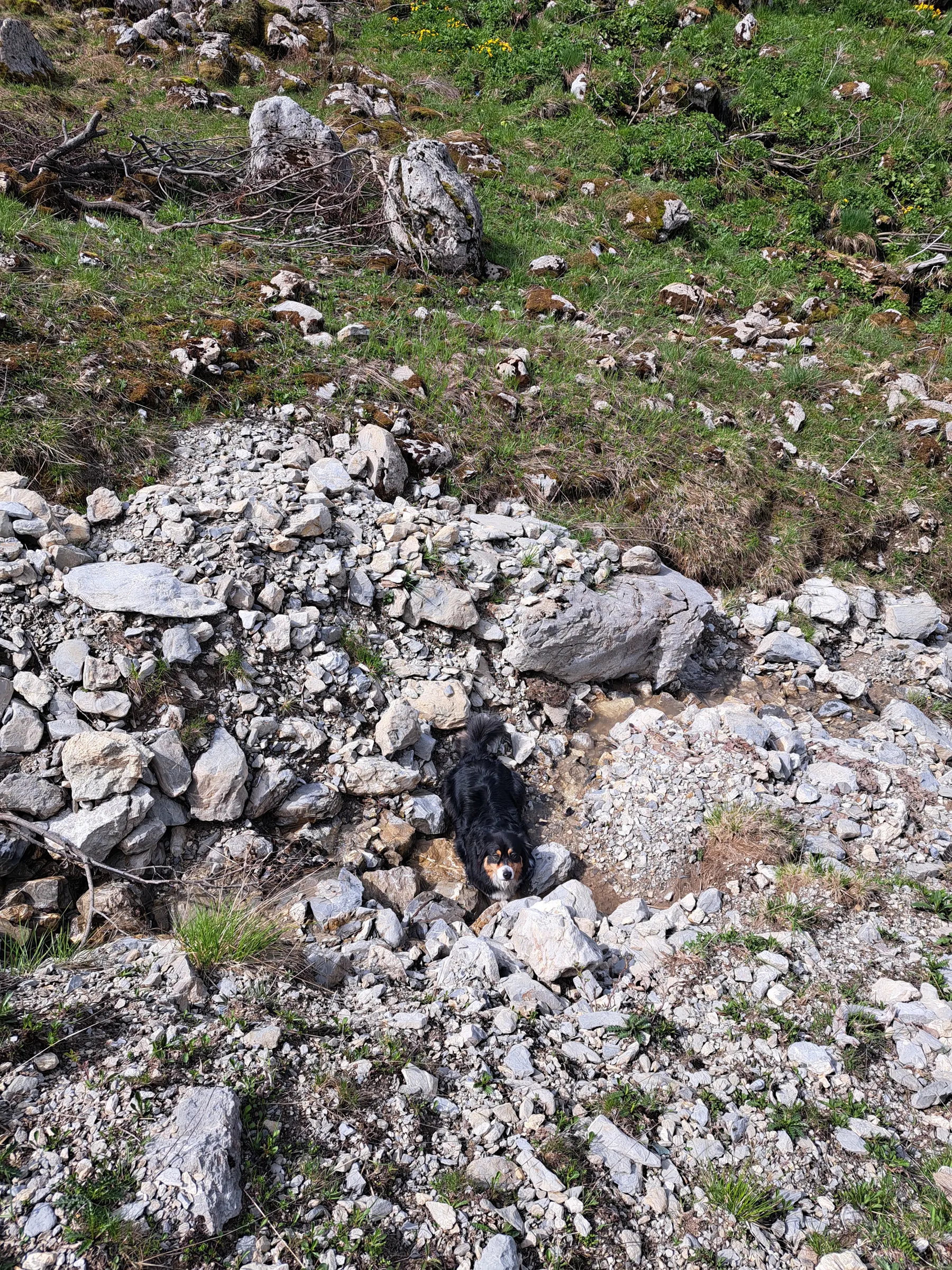 Balade - Olita montagne 25