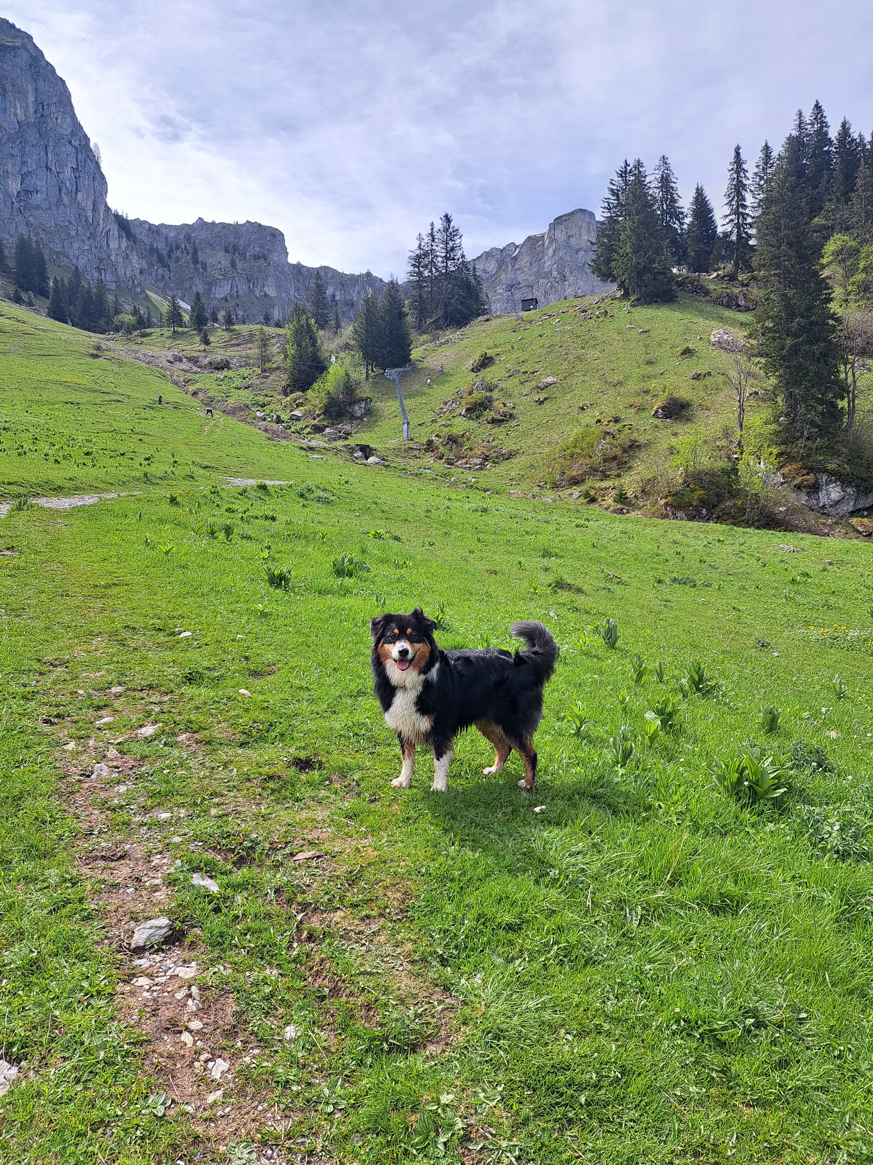 Balade - Olita montagne 26