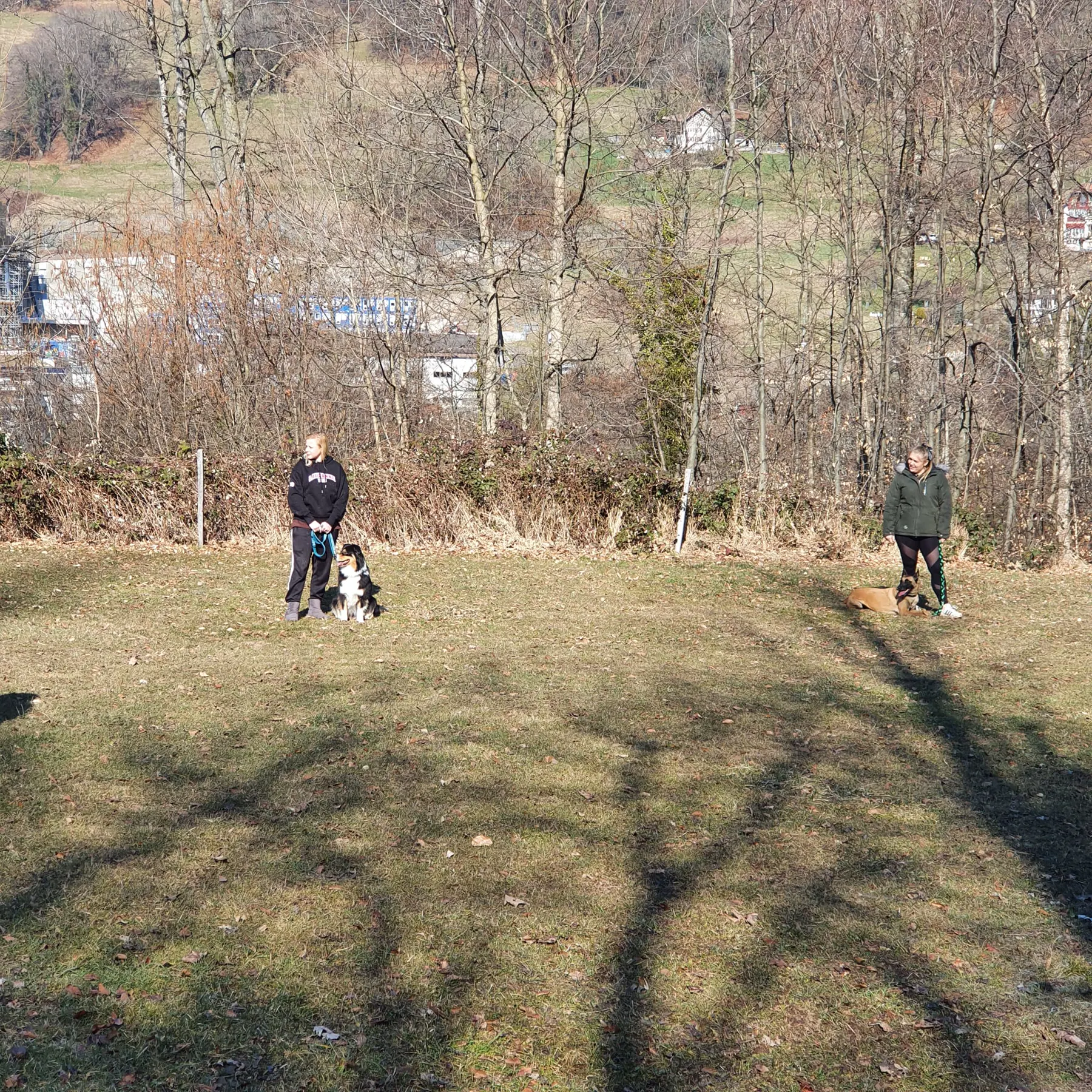 Formation 2023 - Cours dressage
