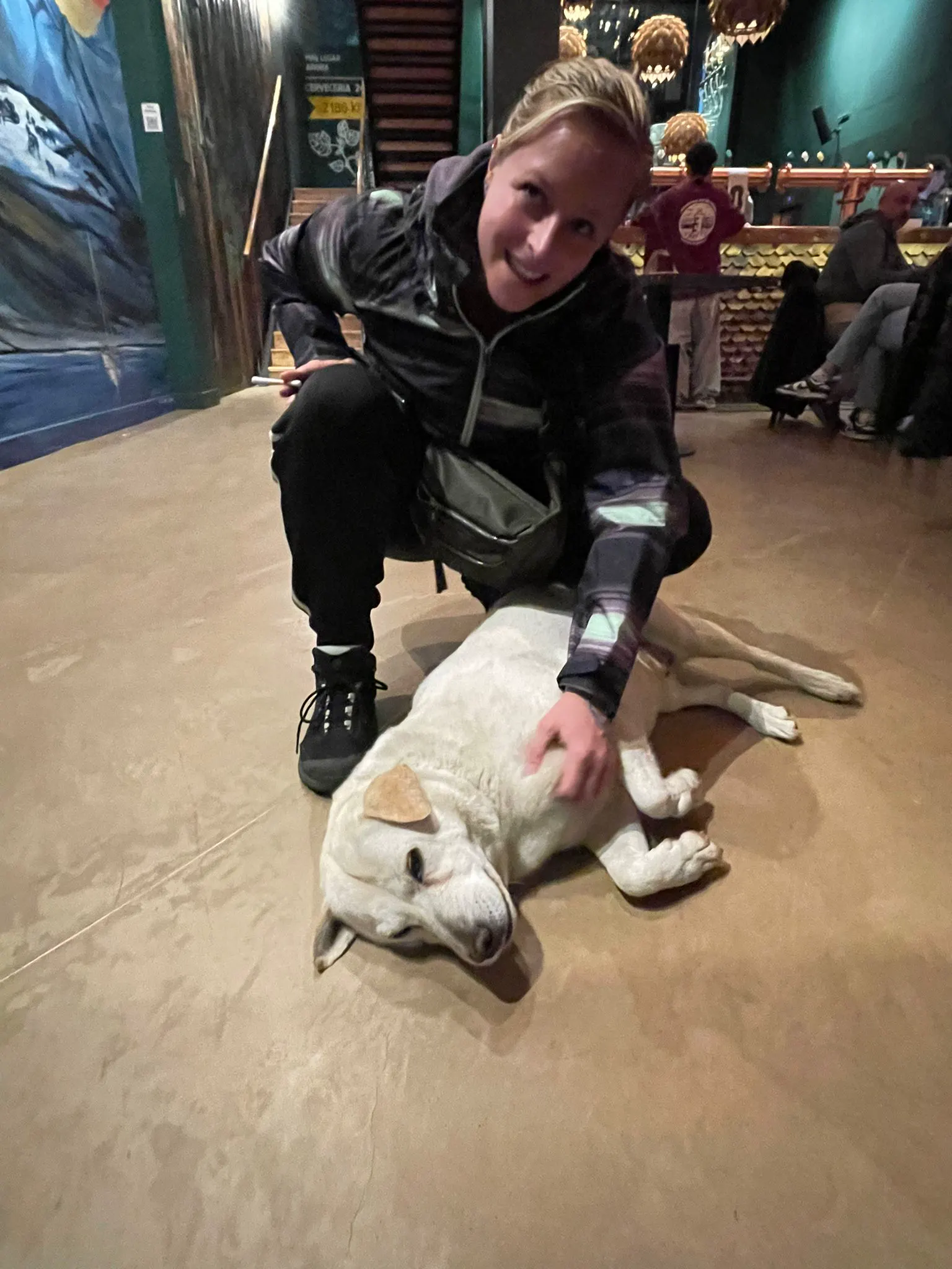 Pérou 2024 - Chiens arg4