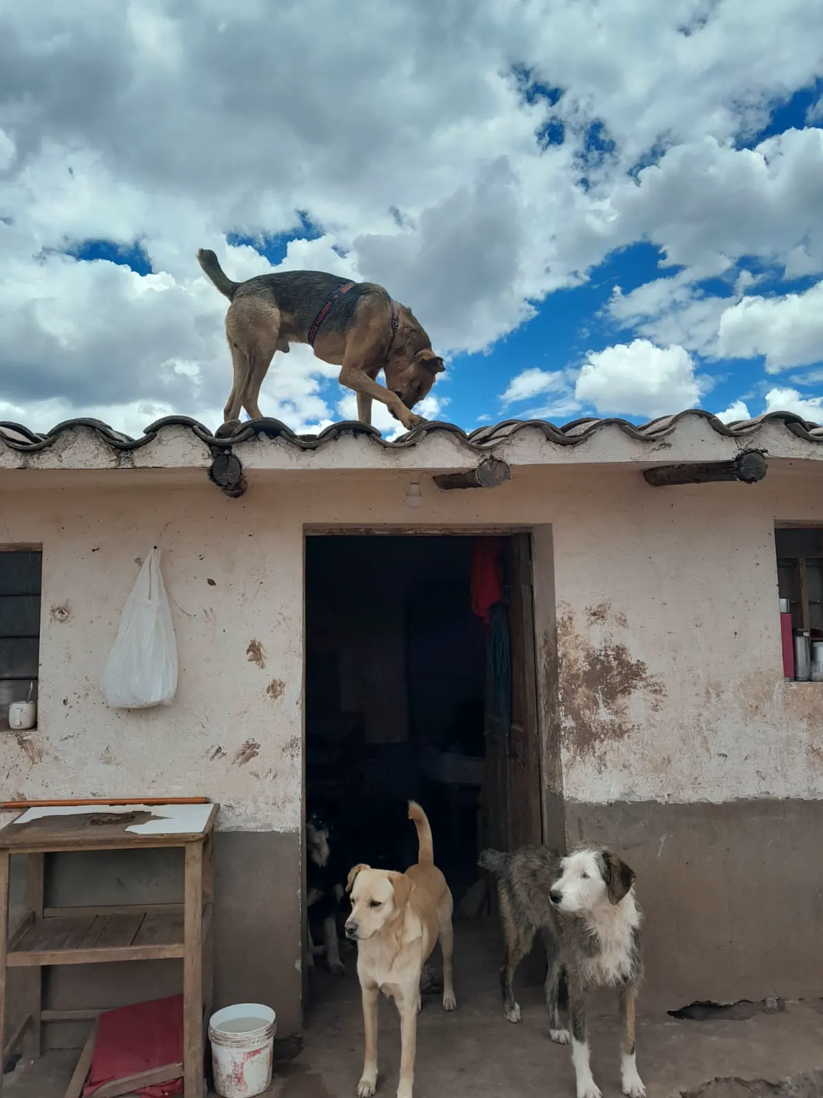 Pérou 2024 - Peru13