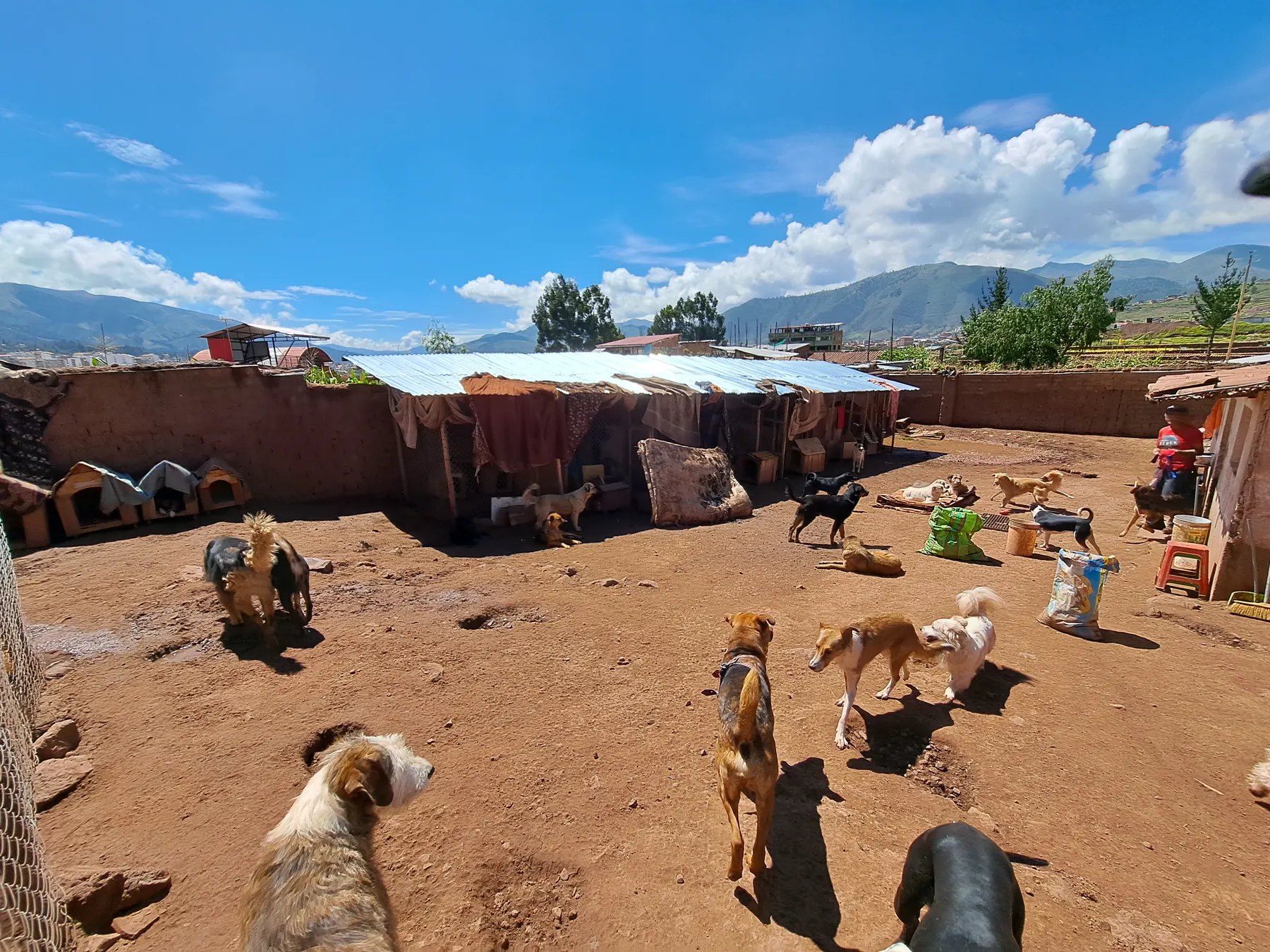 Pérou 2024 - Peru2