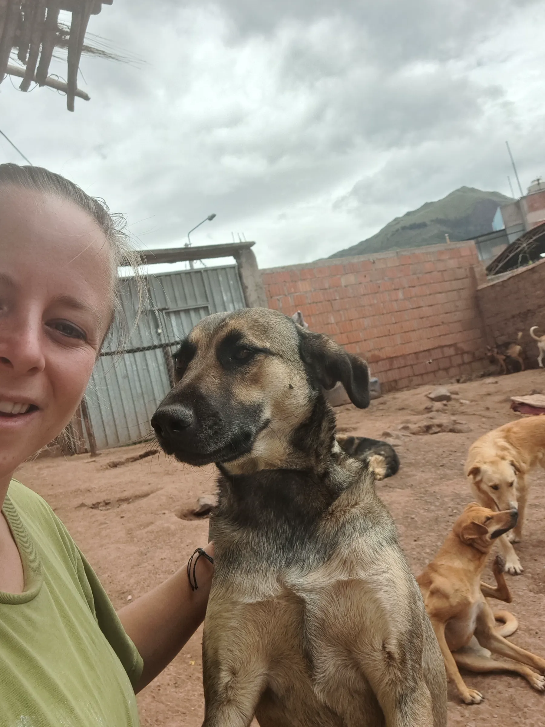 Pérou 2024 - Peru24