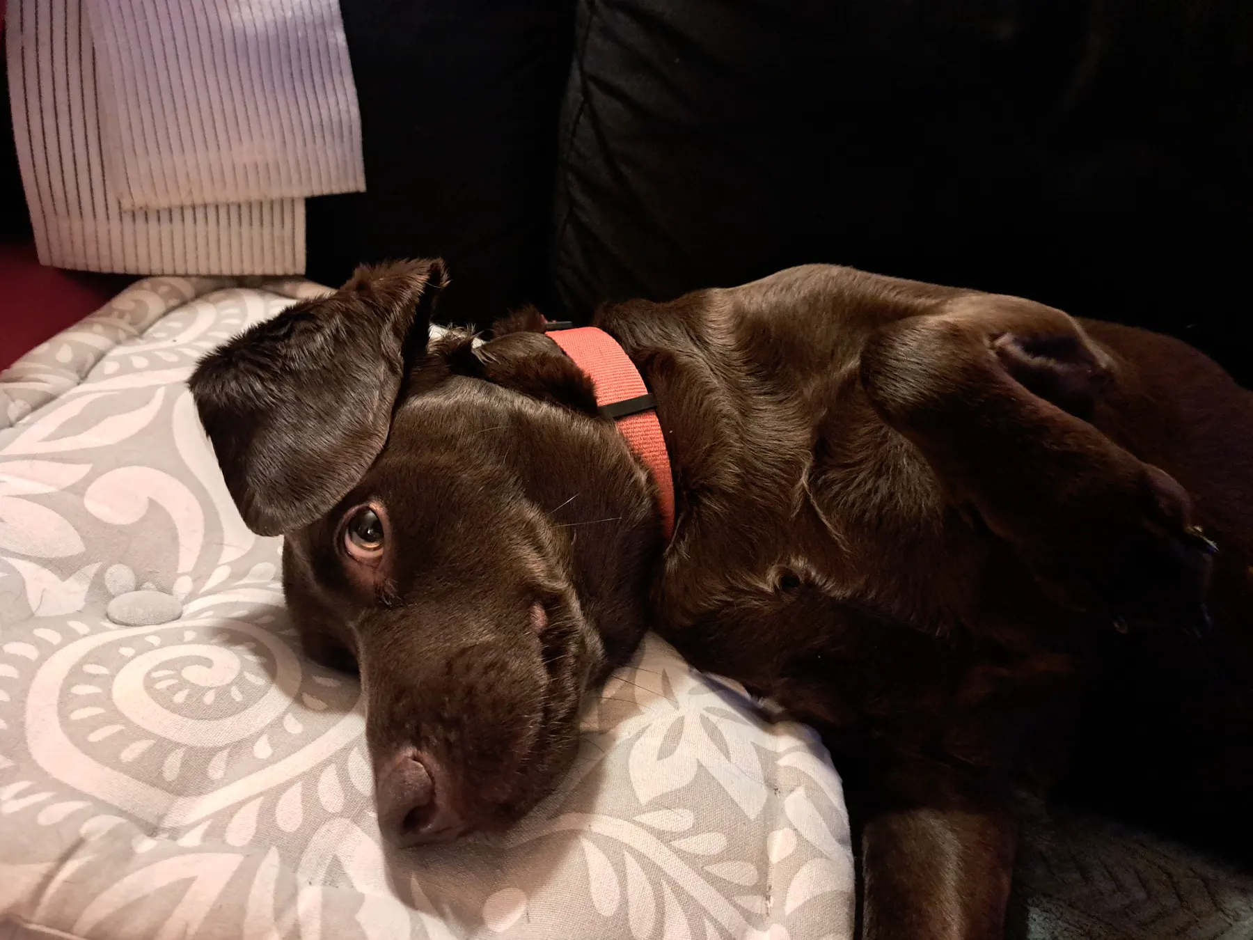 Louna - Louna