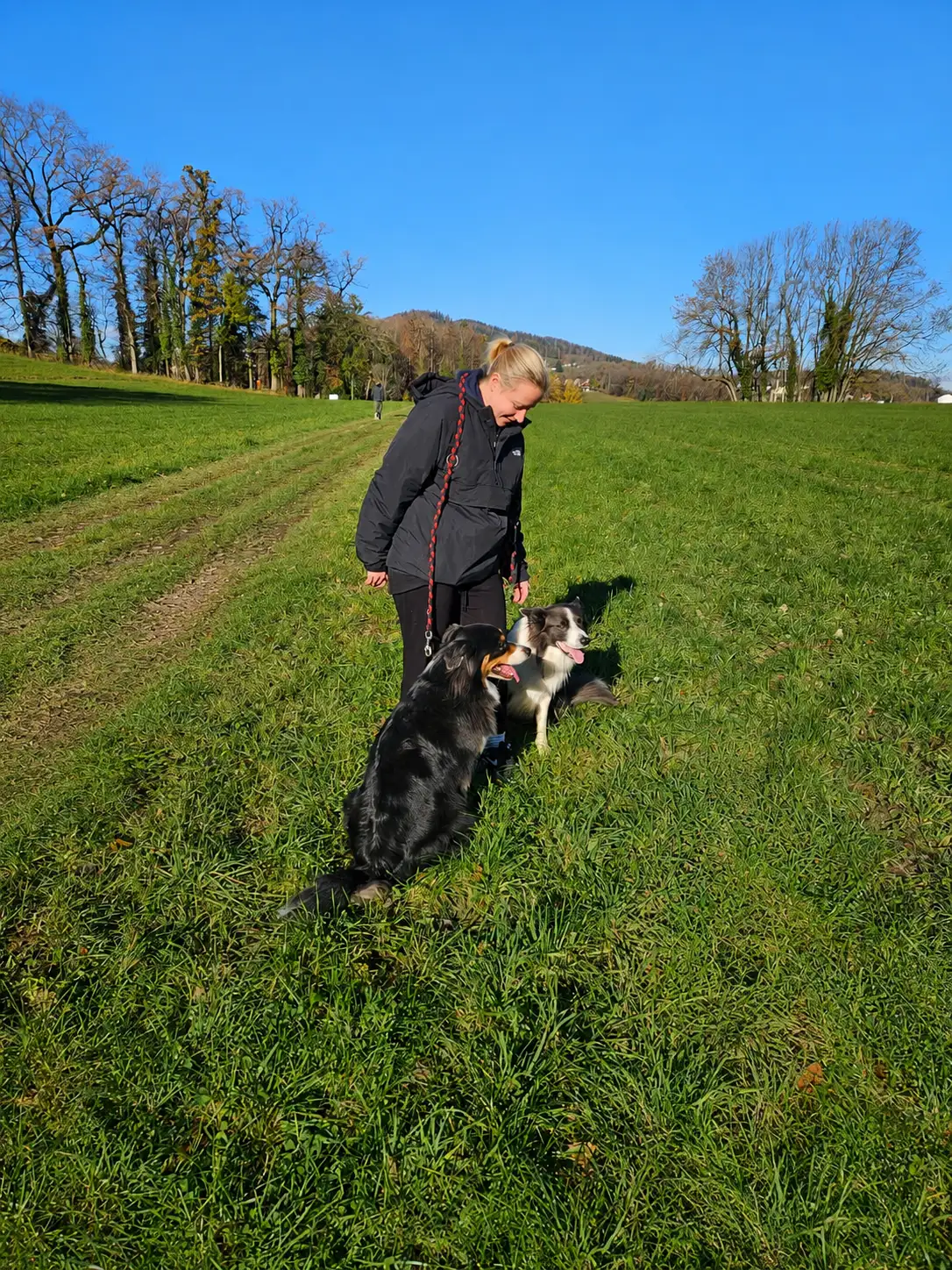Guss et Olita pendant un exercice de signal