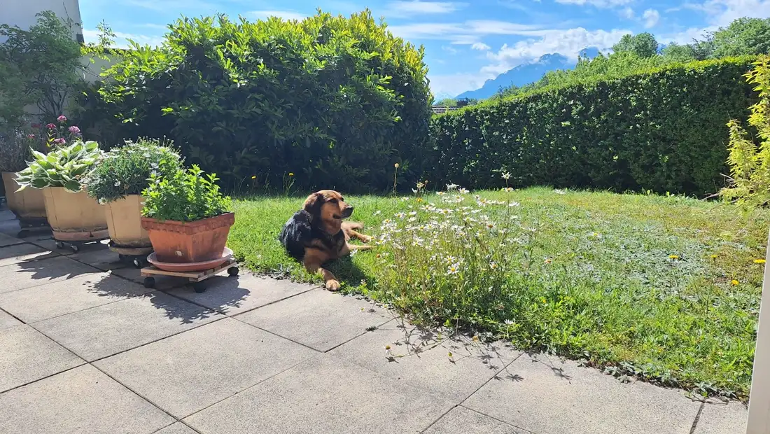 Vacances / pension de Luxe - Vac jardin gilly