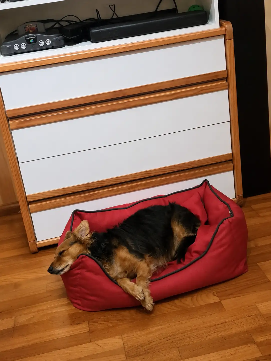 Vacances / pension de Luxe - Vac marley 2